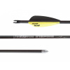 Easton Šíp carbon 28