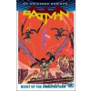 Batman - Noc nestvůr - Tom King