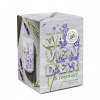 Bartek Candles Vonná sviečka LAVENDER & ROSEMARY - sklo 150g