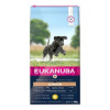 Eukanuba Dog Junior Large & Giant 15kg