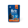 Brit Premium Cat Pouches Salmon for Sterilised 100g
