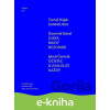 E-kniha Dráma 2021 - Tomáš Hájek, Dominik Reisel, Jakub Čermák
