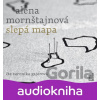 Slepá mapa - Alena Mornštajnová