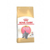 Royal Canin Kitten British Shorthair 2 kg