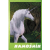 Kamošník - Jednorožec - Orémusová Dagmar