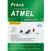 Práce s mikrokontroléry ATMEL AT89C2051 - David Matoušek