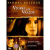 Vražda podľa plánu DVD