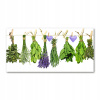 Foto-image veľké akrylové bylinky na reťazci 140x70cm (Foto-image veľké akrylové bylinky na reťazci 140x70cm)