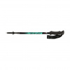 Fizan Compact 4 - water green
