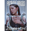 Mercedes Thompson 14: Ztraceni v zimě [Briggs Patricia]