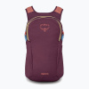 Mestský batoh Osprey Daylite 13 l moody burgundy