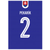 Superfutbal Maketa dresu Slovensko, modrá Rozmer: A4, Meno a číslo: Pekarík 2