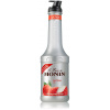 Monin Lychee pyré liči 1 L