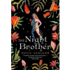 The Night Brother