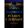 Plamen v temnotě