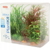 ZOLUX Dekorácia PLANTKIT JALAYA model 4