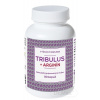 Naturvita Tribulus + Arginin 90 kapsúl