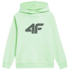 Sweatshirt 4F Jr. 4FJSS23TSWSM220 42S (119447) Black 158cm