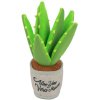 P L A Y pre psy Aloe 25 cm