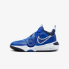Nike TEAM HUSTLE D 11 (GS) EUR 36.5