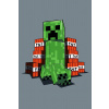 Jerry Fabrics Detská fleecová deka Minecraft TNT Varianta: Dětská fleecová deka Minecraft TNT 100x150 cm
