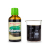 ALCHORNEA kvapky (tinktúra) 50ml | Bylinné kvapky