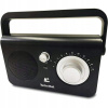 TechniSat CLASSIC 100