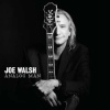CD Joe Walsh: Analog Man