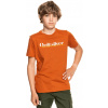 detské tričko QUIKSILVER YOUTH PRIMARY COLOURS TEE Cinnamon - CPE0 14 years