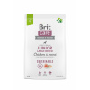 Brit Care Dog Sustainable Junior Large Breed, 3 kg