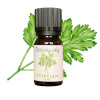 Aroma Natura Éterický Olej Petržlen - 10ml