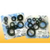 Sada gufer motoru ATHENA DUCATI 800 Monster S2R (05-07) rok 05-07