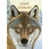 Lesné zvieratá