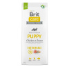 Brit Care Dog Sustainable Puppy 3 kg
