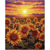 Norimpex Diamantové maľovanie Slnečnicové pole 40x30cm