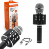 MIKROFÓN PRE DETI BEZDRÔTOVÝ REPRODUKTOR KARAOKE (Karaoke mikrofónová hračka pre deti s reproduktorom ECHO Manta Bluetooth)