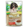 Agras Pet Foods STUZZY Kusy hovädzieho mäsa - mokré krmivo pre psov - 100 g