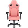Kaiser 4 XL Pink ANDASEAT