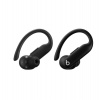 Beats Powerbeats Pro 2/ANC/BT/Jet Black (MX723EE/A)