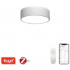 IMMAX NEO RONDATE SLIM SMART stropné svietidlo 25 x 7cm 18W Zigbee 3.0, TUYA, biele