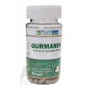 PLUS LEKÁREŇ GURMARIN cps Gymnema Sylvestre 250 mg, 1x60 ks