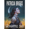 Uchvatitel duší - Patricia Briggs
