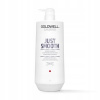Goldwell Dualsenses Just Smooth Taming Shampoo 1000 ml
