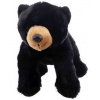 Medveď čierny plyšový 21cm