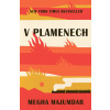 V plamenech - Megha Majumdar