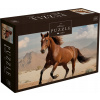 INTERDRUK Puzzle Wild Horses 2: Hnedý divoký kôň 1000 dielikov