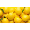 Farma Rohoznice Citróny Argentína 1 kg
