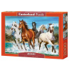 CASTORLAND Puzzle Volanie prírody 2000 dielikov