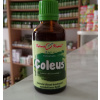 COLEUS kvapky (tinktúra) 50ml | Bylinné kvapky