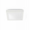 Stropné svetlo FARO 62968 - Kúpeľňové stropné svietidlo TOLA 1 1xE27/20W/230V IP44 (70825)